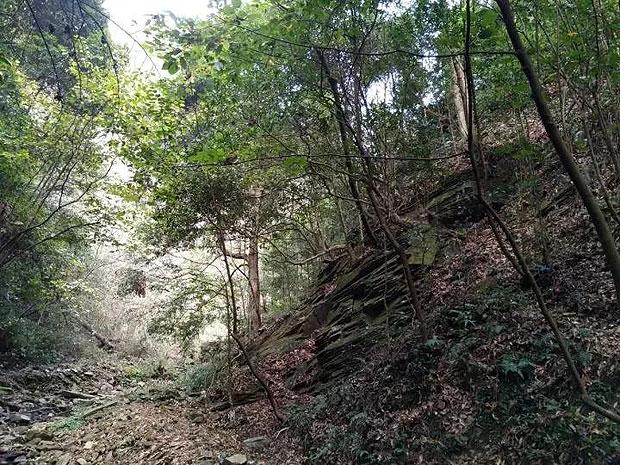 小人国救援