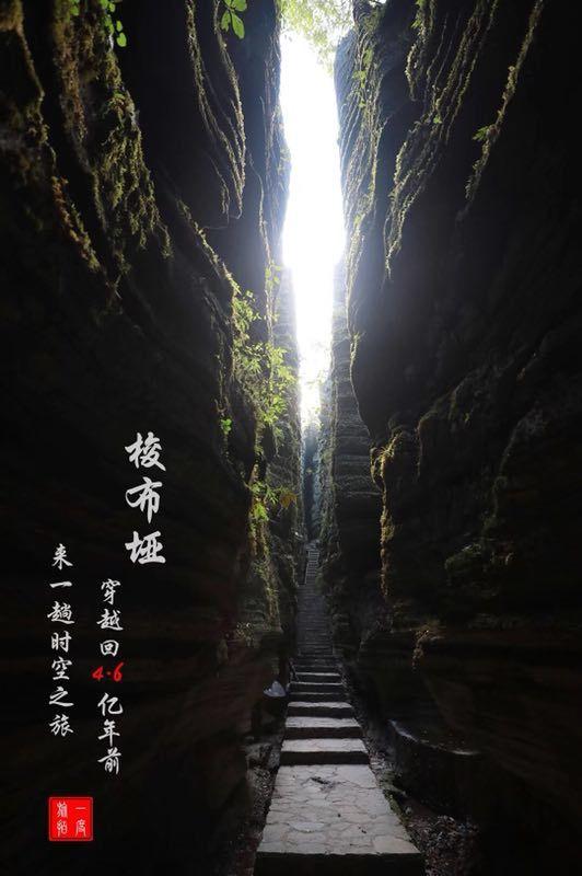 奔跑的兔子