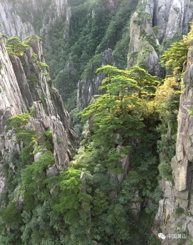 【旗县区动态】东乌旗:“四到位”强化退役军人荣誉激励机制