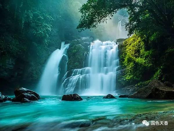虫虫助手下载